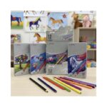 Color Pencil 191090 ( 12 Color/ 24 Pcs Box )
