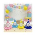 Birthday Cap No. 423 ( Small )