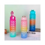 Gym Bottle No. (900ml)