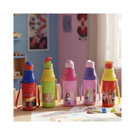 Insulated Bottle No. HL-S-17-CH ( 470ml )
