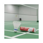 6 Pcs Plastic Shuttlecock No. 263