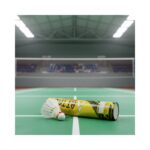 10 Pcs Boom Feather Shuttle Cock