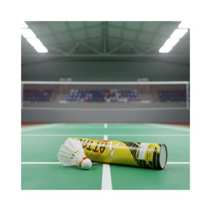 10 Pcs Boom Feather Shuttle Cock