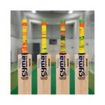 Floroscent Zebra (Mix color) 12 Pcs Pkt