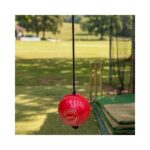 Cyma Hanging Ball