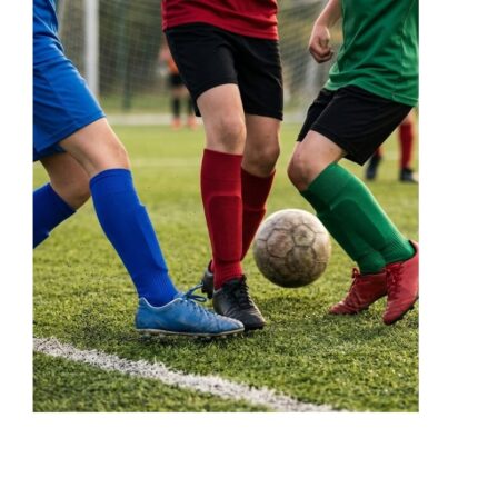 Football Socks No. 2351 (Pack of 12 Pairs Socks)