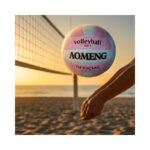 Volleyball No. 2445